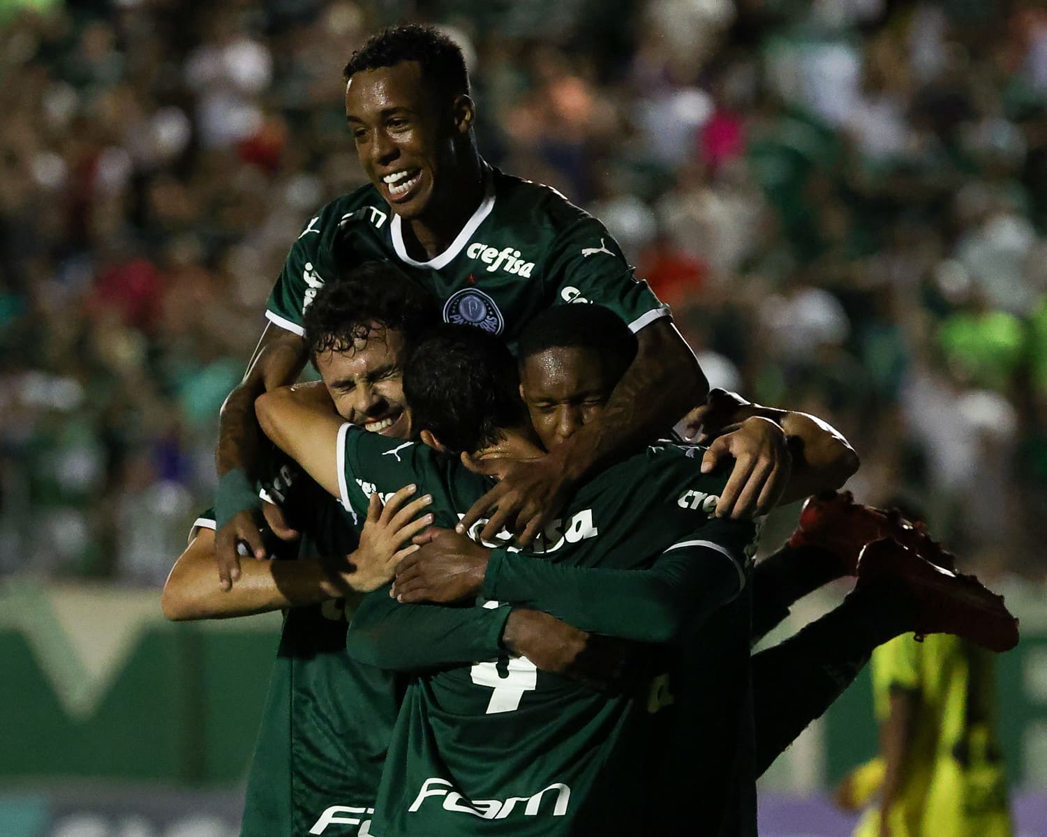 Jogador do Palmeiras tem começo de ano brilhante e pode ganhar prêmio