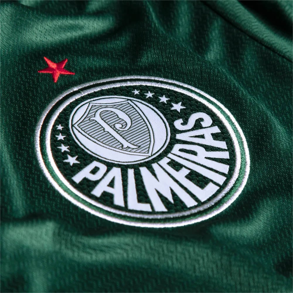 Palmeiras é o maior clube do Brasil.