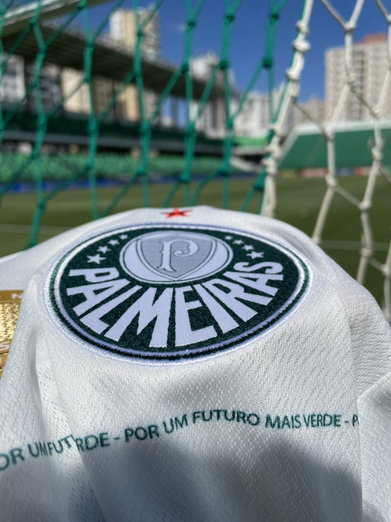 Ficou nem seis meses no Palmeiras e marcou 24 gols