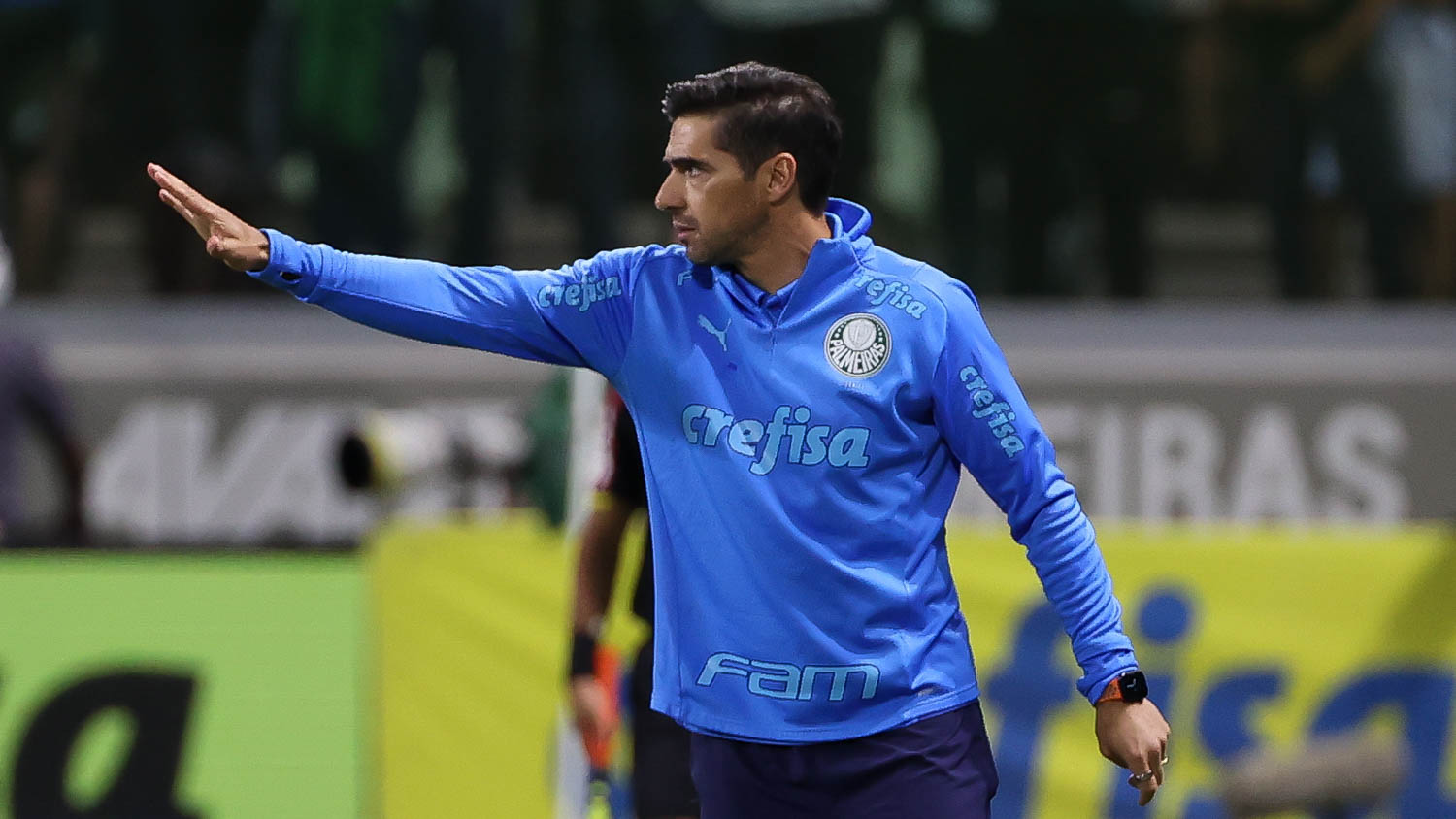 Palmeiras: vidente fala sobre o time no Brasileirão 2023.