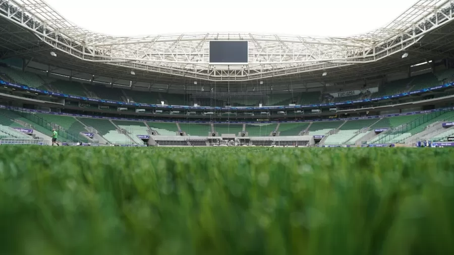 Ex-jogador do Palmeiras passa por drama familiar 4 Ex-jogador do Palmeiras passa por drama familiar