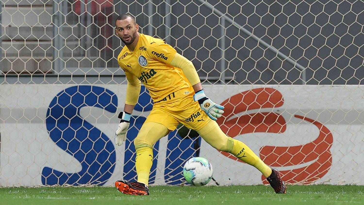 Weverton retorna nesta sexta-feira aos treinos do Palmeiras 1 Weverton retorna nesta sexta-feira aos treinos do Palmeiras