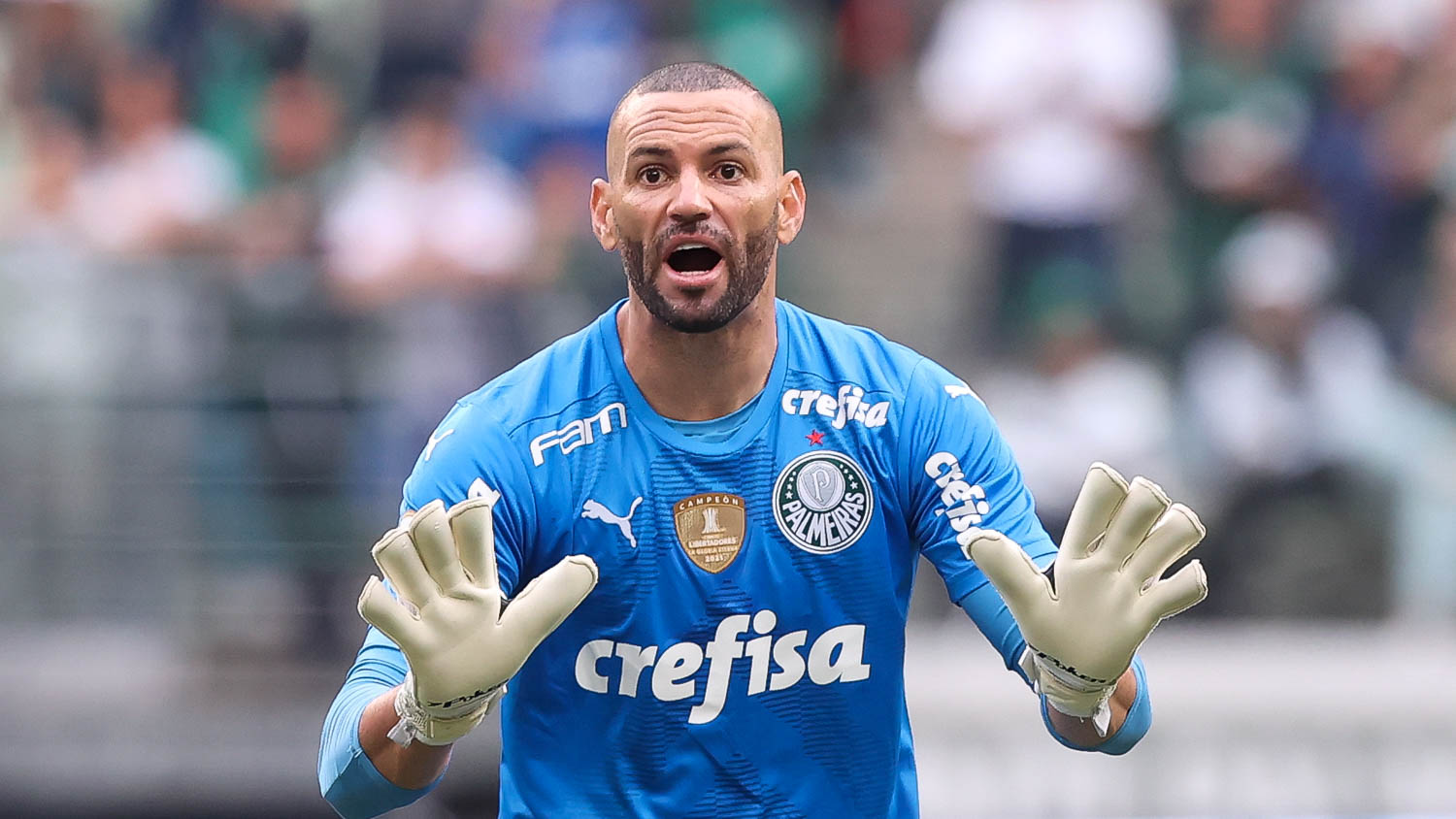 Weverton pode ser prejudicado por decisão da Fifa.