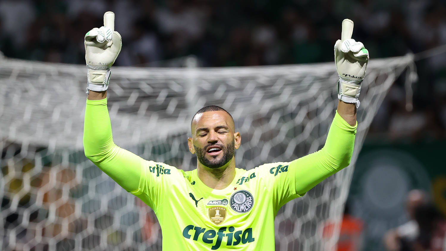 Weverton, goleiro do Palmeiras.