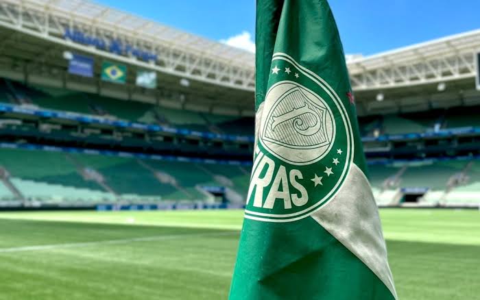Dupla deixou o Palmeiras e pode acabar na Série B 1 Dupla deixou o Palmeiras e pode acabar na Série B