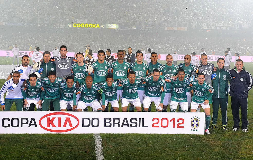 palmeiras posado rib 3124