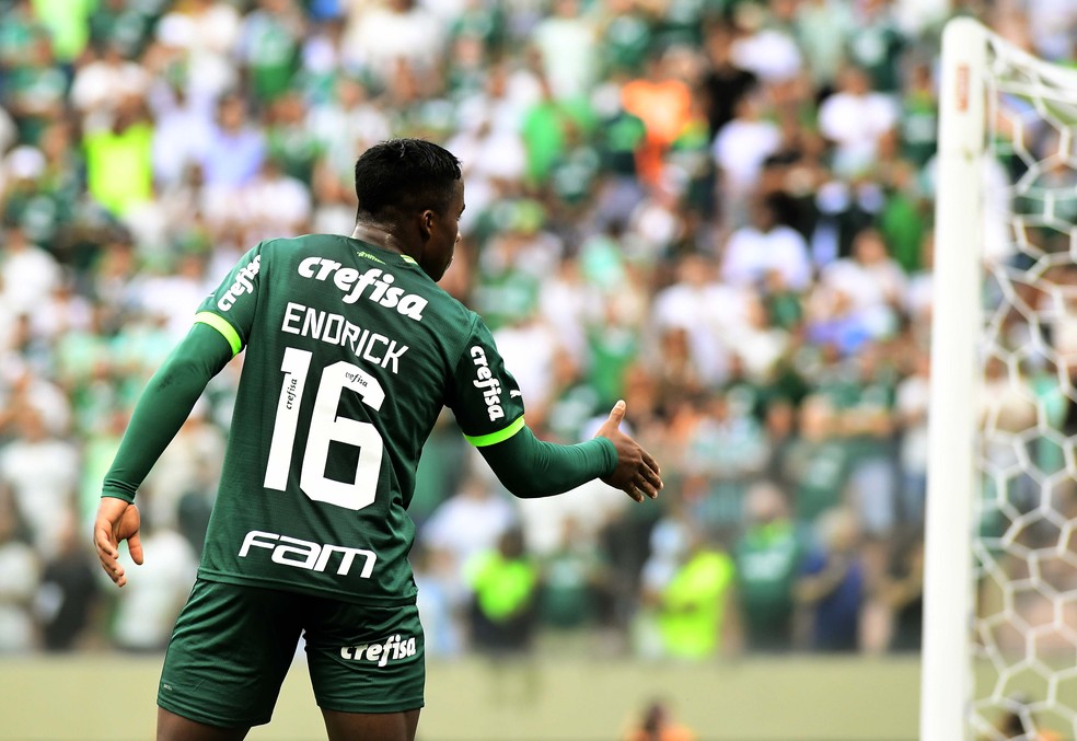 Confirmado! Endrick é o novo camisa 9 do Palmeiras 1 Confirmado! Endrick é o novo camisa 9 do Palmeiras