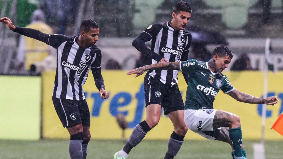 BOTAFOGO-palmeiras_brasileirao_2023-