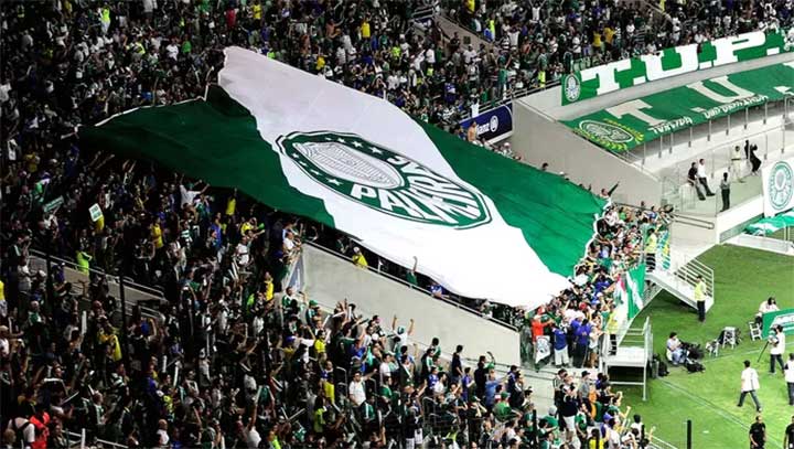 bandeira-palmeiras