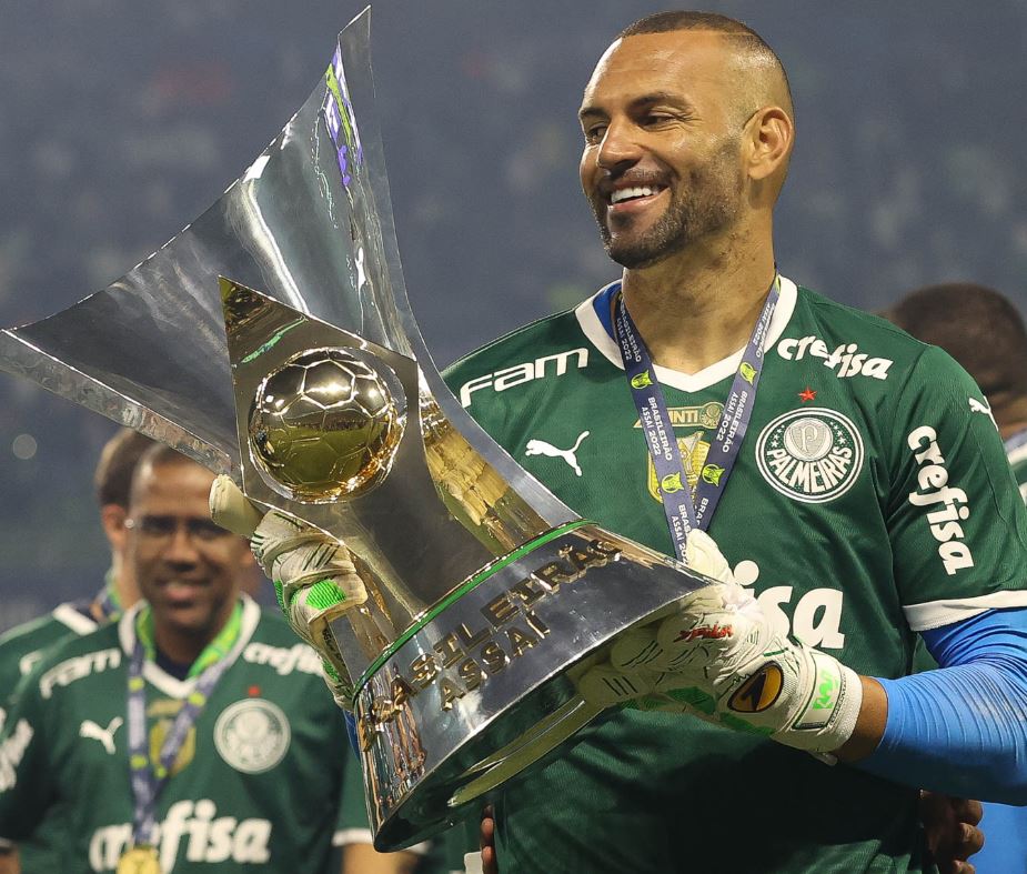 brasileirao-botafogo-palmeiras