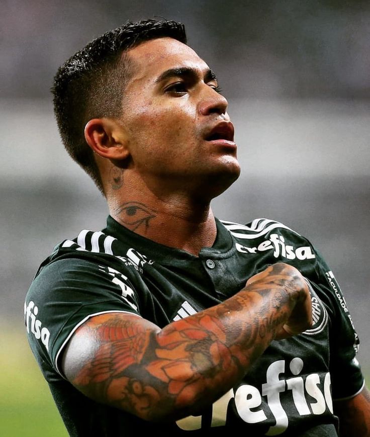 duud-palmeiras