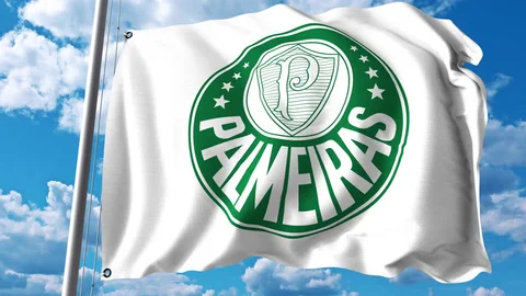 palmeiras-cofres