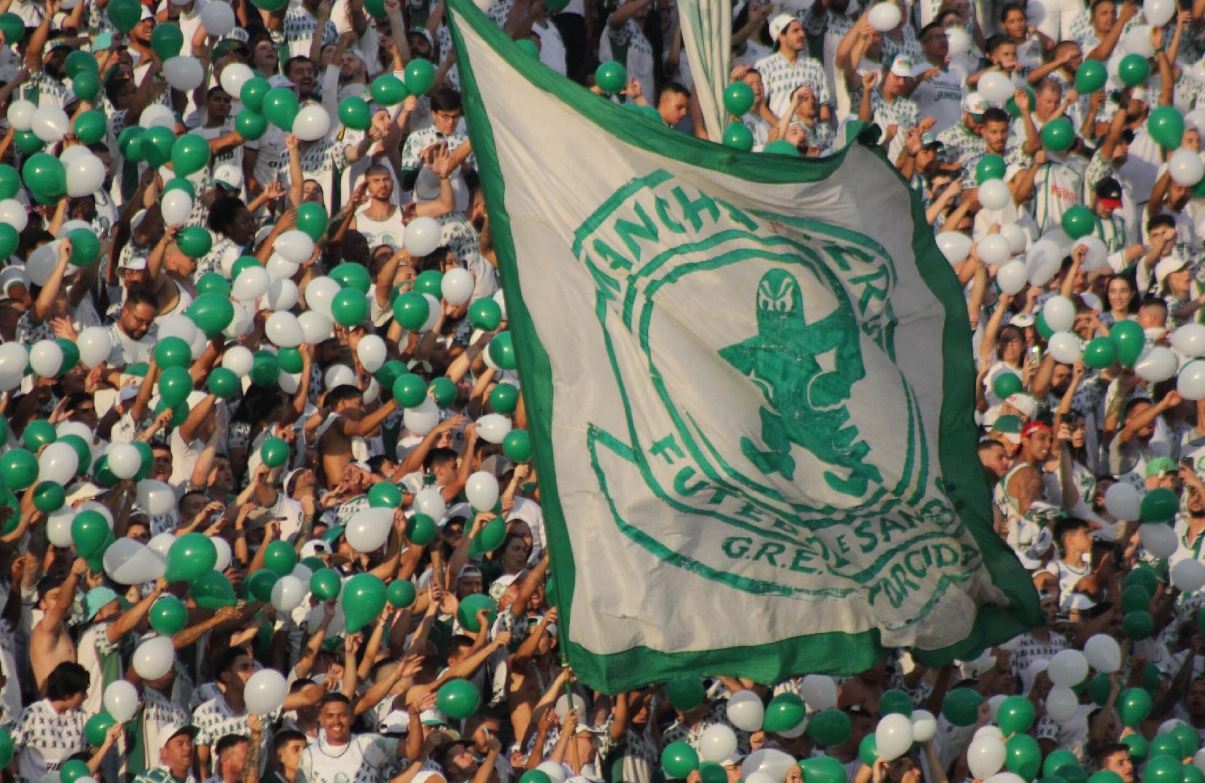 torcedor-palmeiras-taça