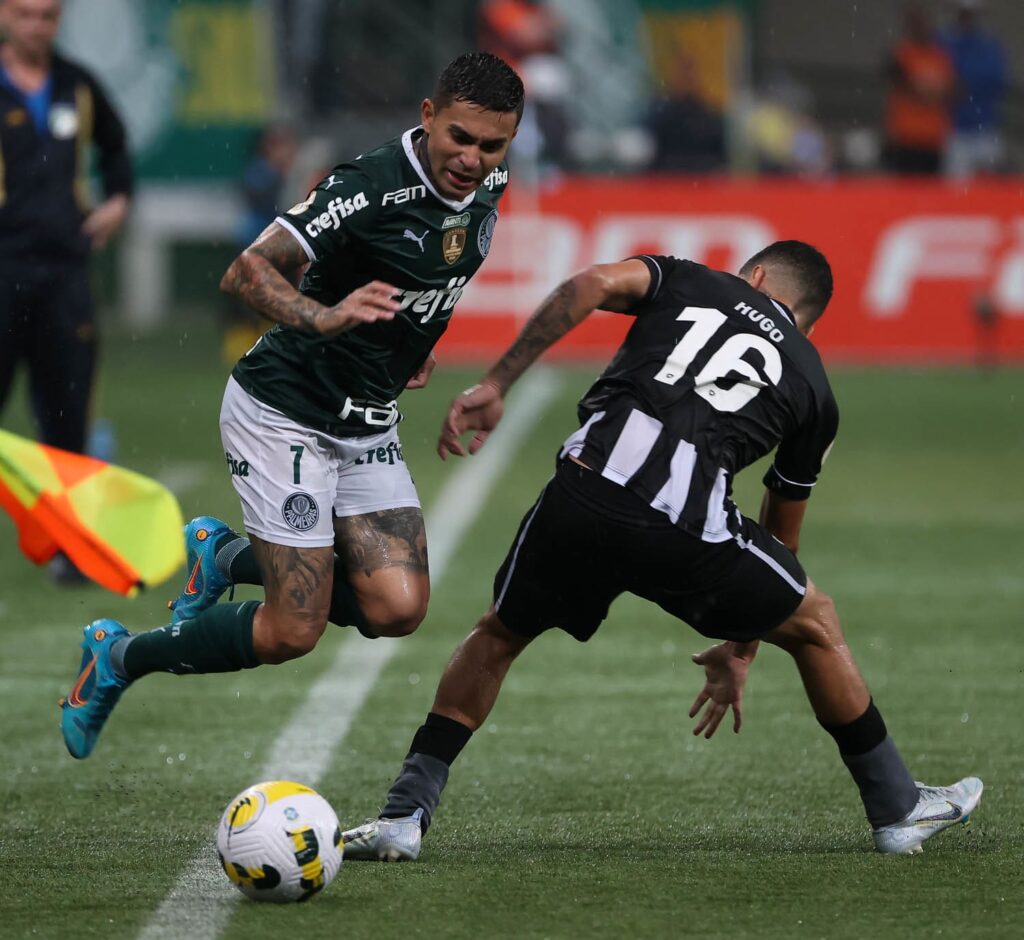 Como Assistir Ao Vivo Palmeiras X Botafogo Pelo Brasileirão 2023 ...