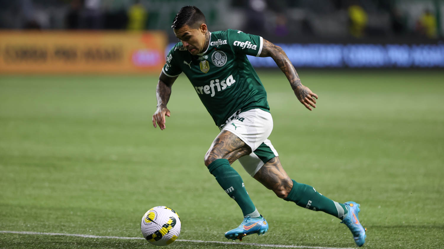 Joia Da Base Pode Substituir Dudu No Palmeiras - Portal Do Palmeirense