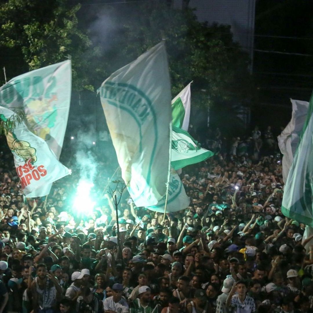 Palmeiras
