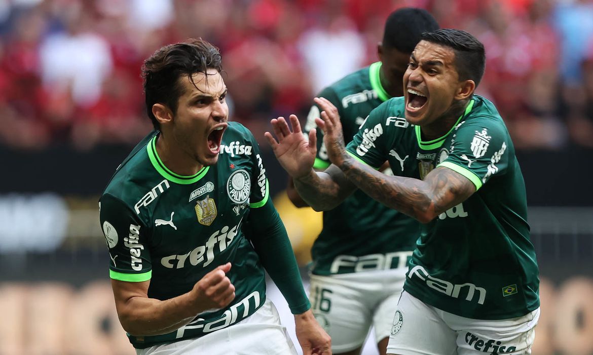 Palmeiras ganha reforço para o ataque 1 Palmeiras ganha reforço para o ataque