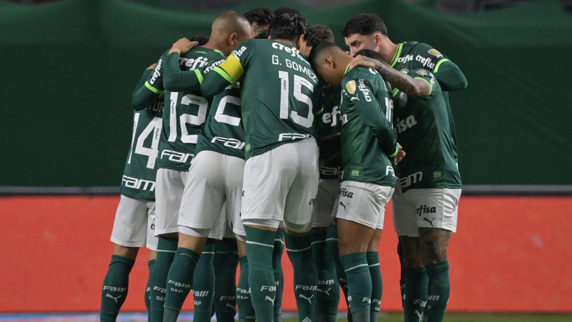 PALMEIRAS 1 1