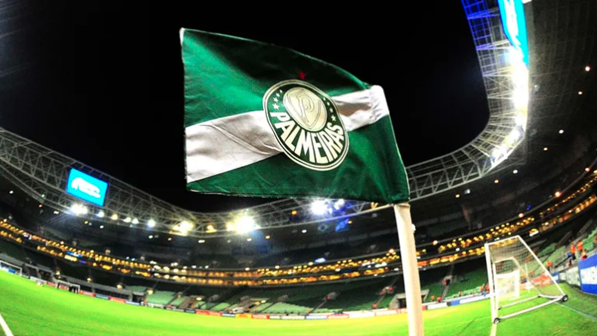 PALMEIRAS 1
