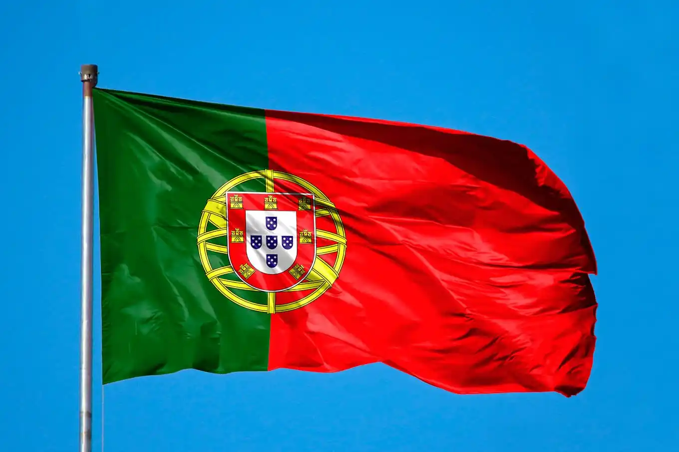 Ex-jogador do Palmeiras é anunciado como técnico de clube de Portugal