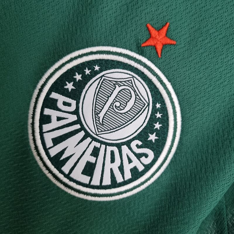 Ídolo do Palmeiras compra time e planeja adquirir várias outras equipes 7 Ídolo do Palmeiras compra time e planeja adquirir várias outras equipes