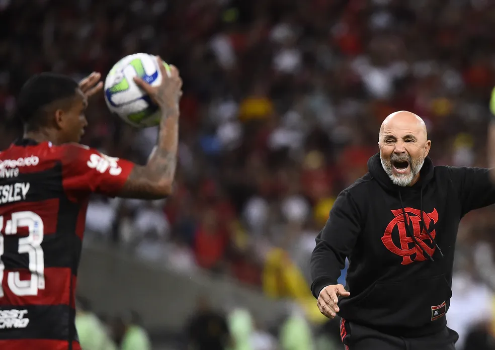 Flamengo está quase fora da Libertadores 2024 Portal do Palmeirense