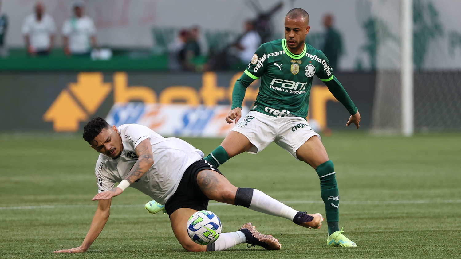 Tá confirmado! Palmeiras reverteu maior vantagem e Botafogo está desesperado