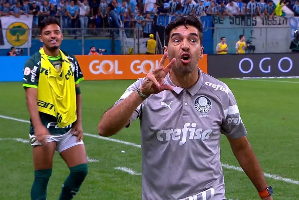 abel - palmeiras