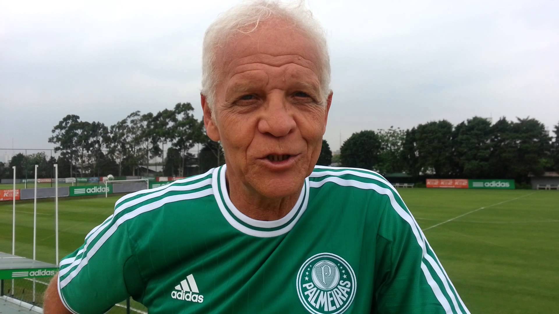 ademir da guia1