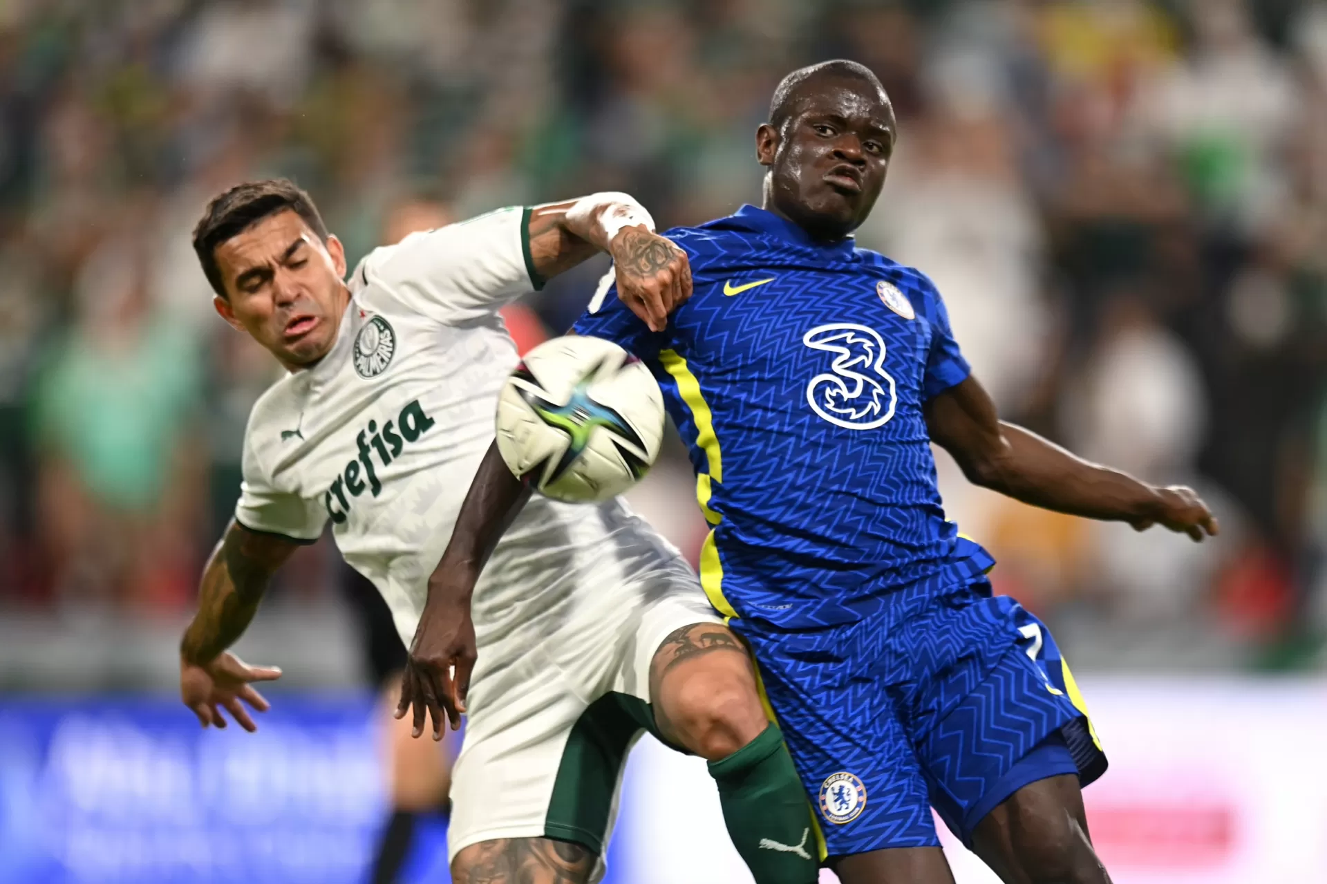 Palmeiras desafia favoritismo do Chelsea em busca de título mundial - Click  Guarulhos