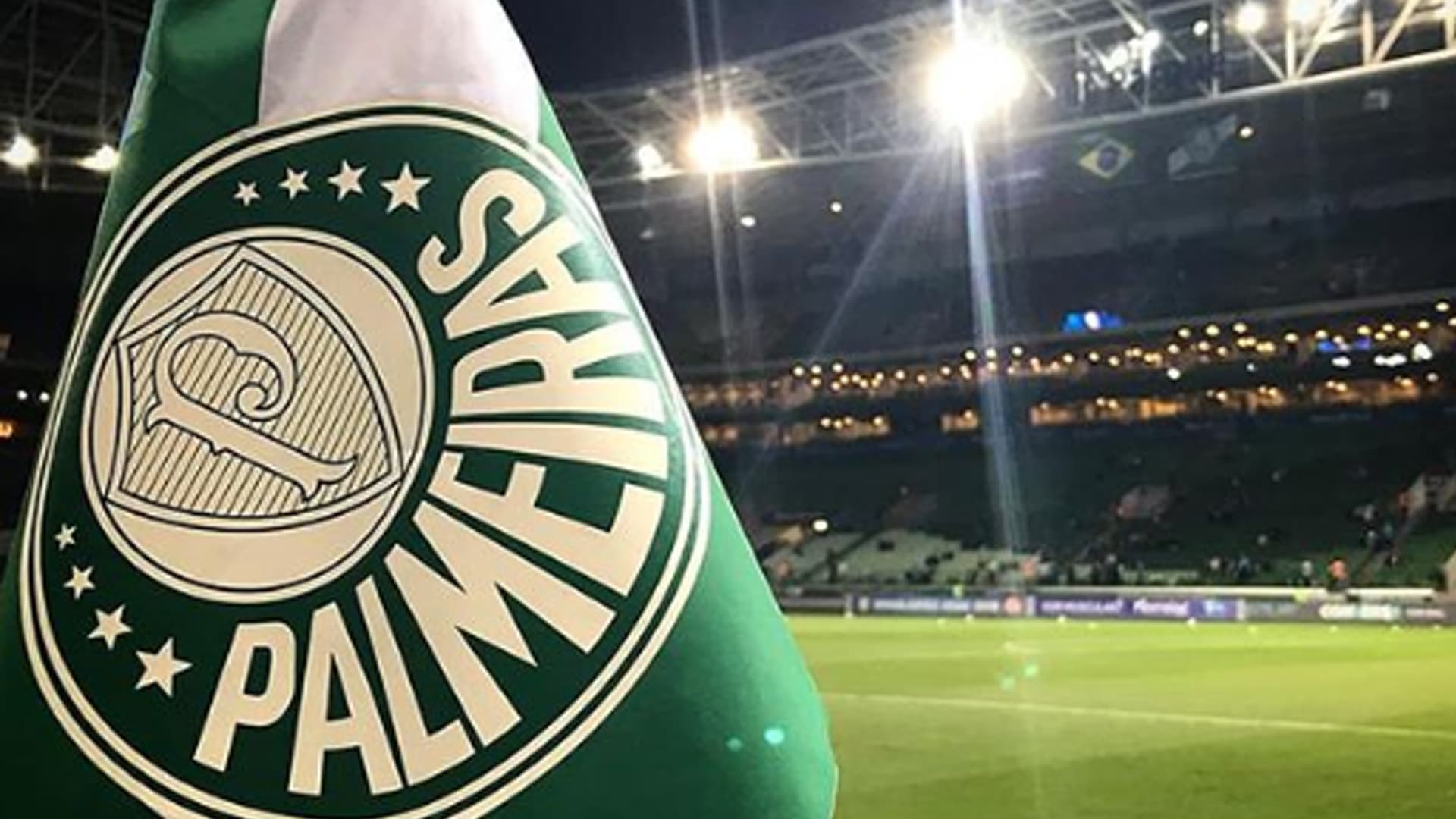 PALMEIRAS JOGADOR