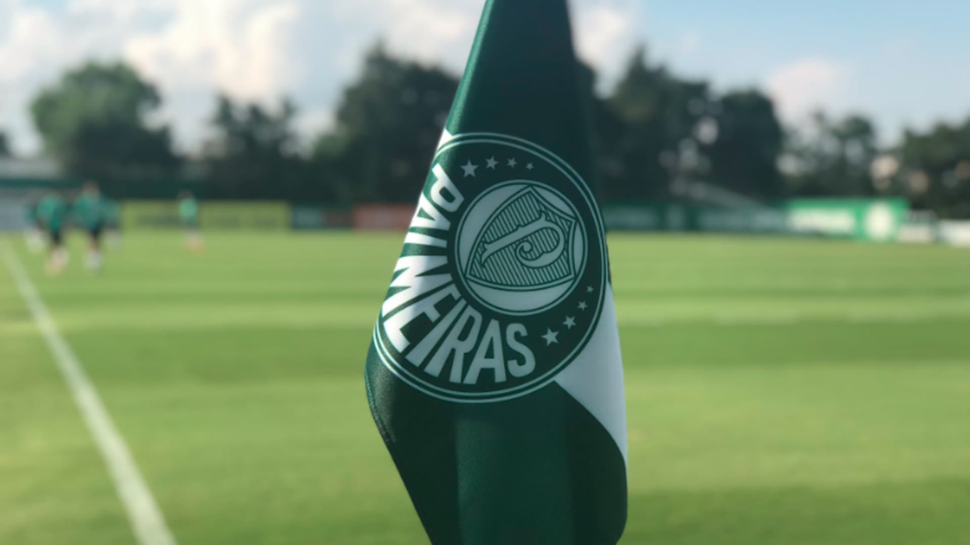 Palmeiras Surpreende E Apresenta Reforço Inesperado Portal Do Palmeirense 1171