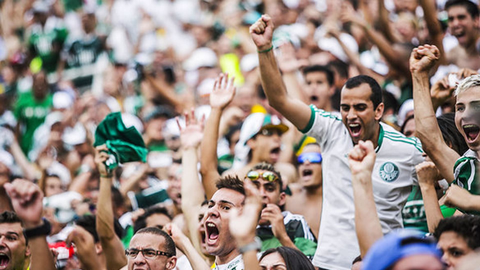 TORCIDA DO PALMEIRAS