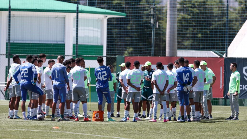 Palmeiras Faz Prova Pra Definir Lista De Inscritos Na Copinha - Portal ...