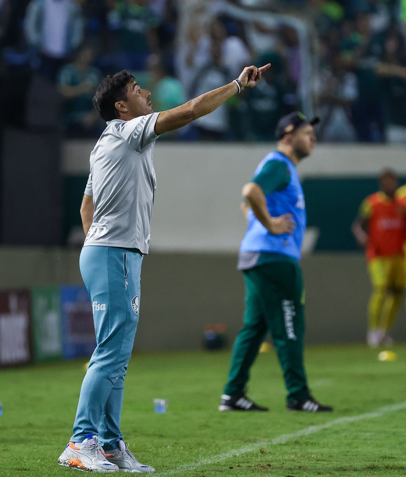Abel Ferreira se antecipa e faz anúncio sobre novos reforços