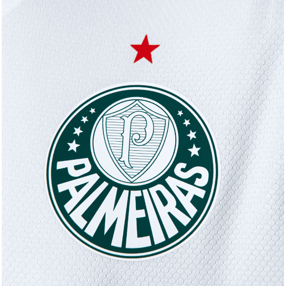 Ex-Palmeiras se aposenta e muda de profissão no futebol