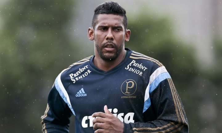 goleiro aranha palmeiras flamengo 1