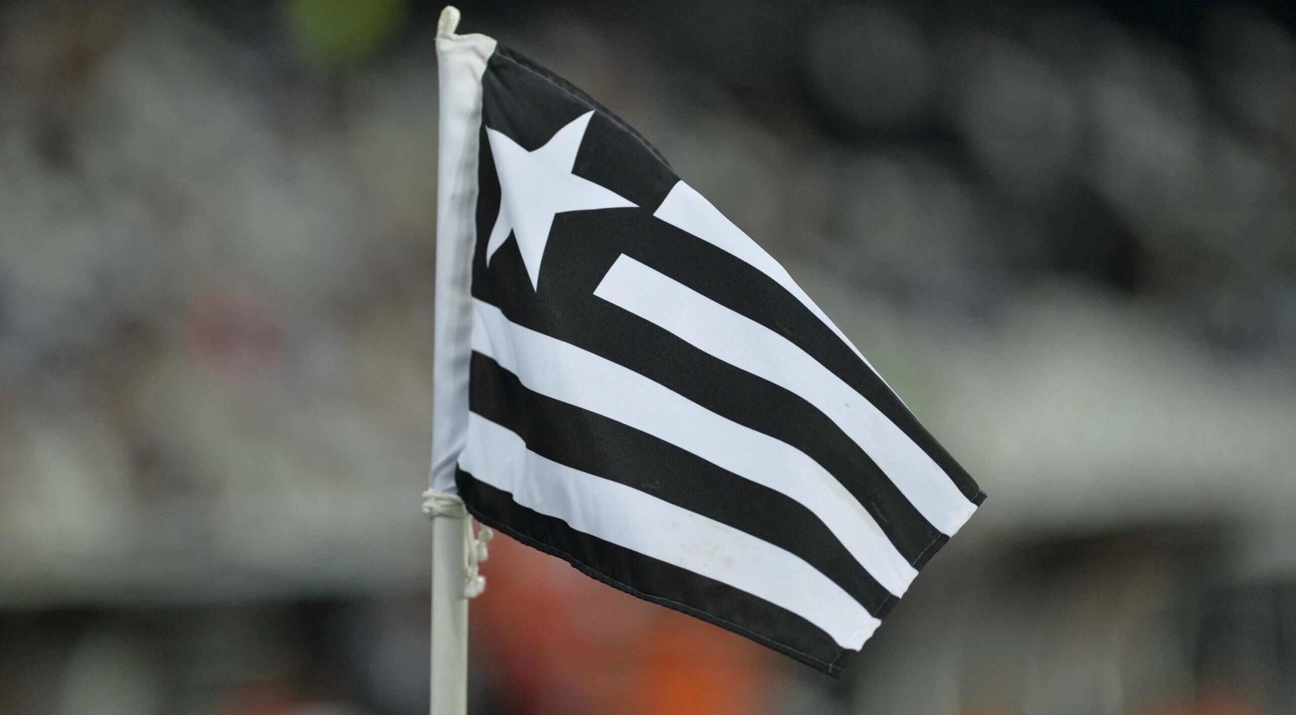 12569638 rio brasil 03 de marco de 2018 bandeira em partida entre flamengo e botafogo pelo campeonato carioca no estadio nilton santos gratis foto 1 scaled e1712083523165