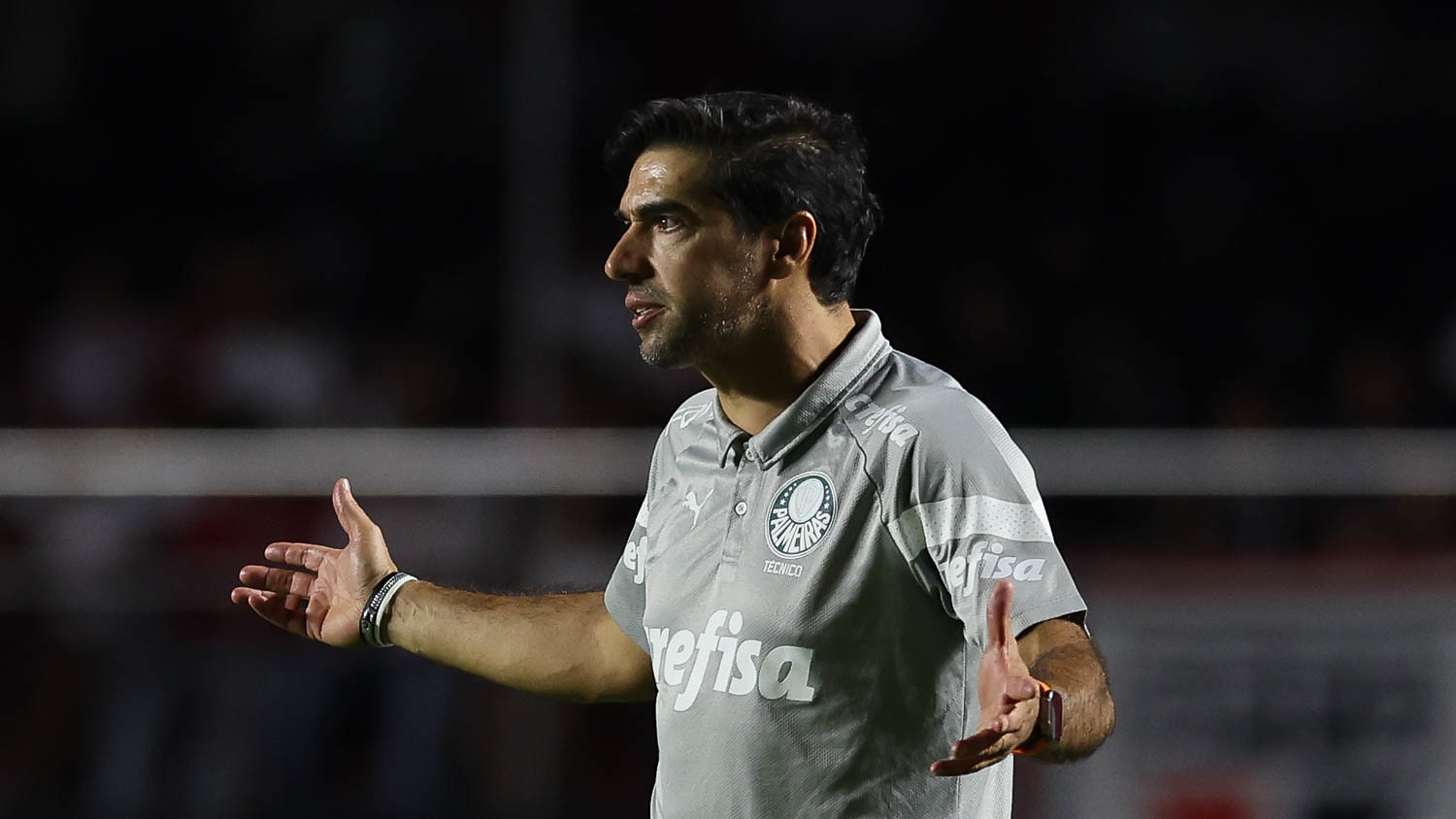 Abel Ferreira