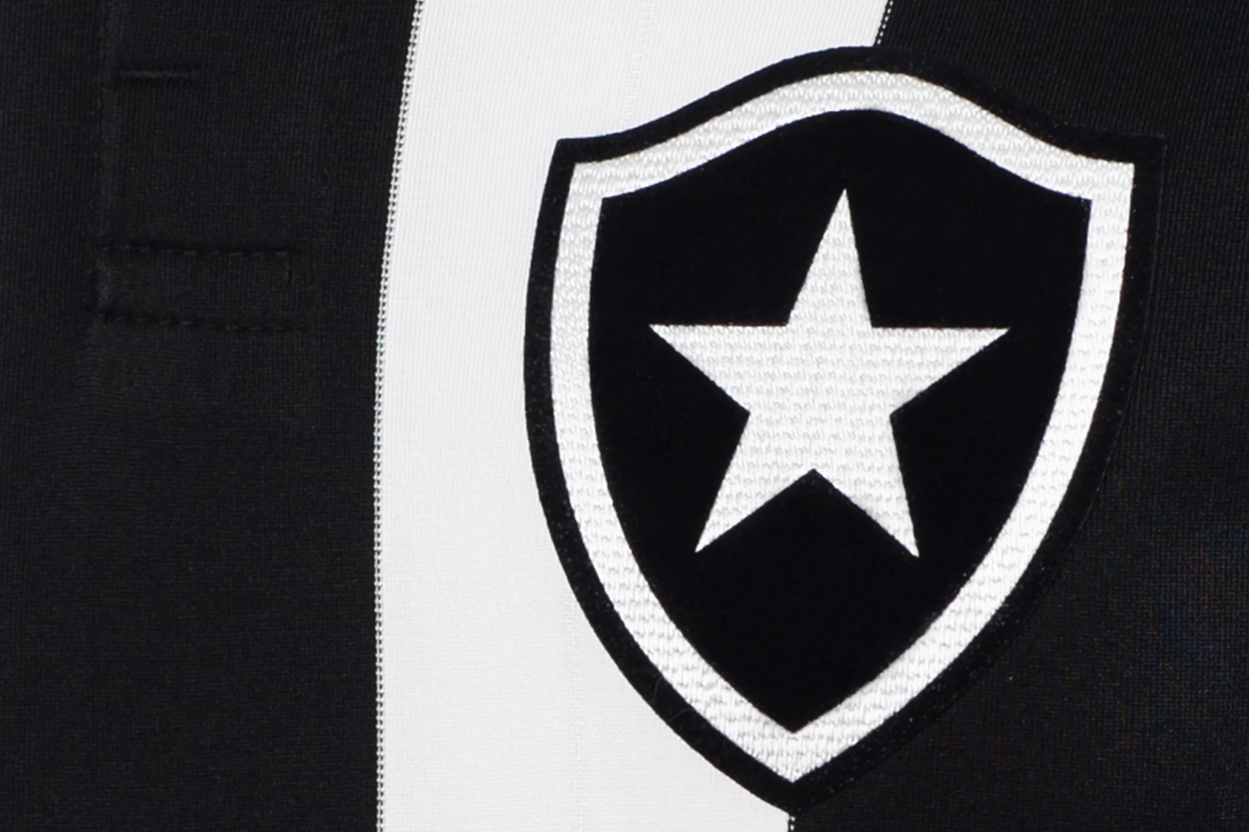 botafogo scaled
