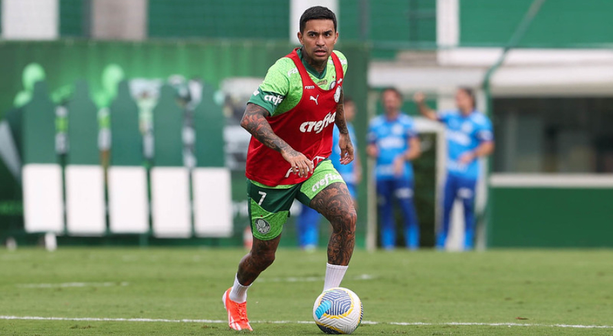 dudu palmeiras libertadores