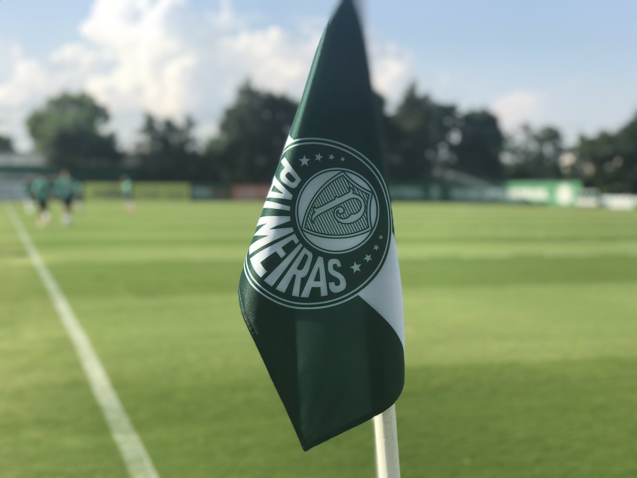 AnyConv.com Palmeiras
