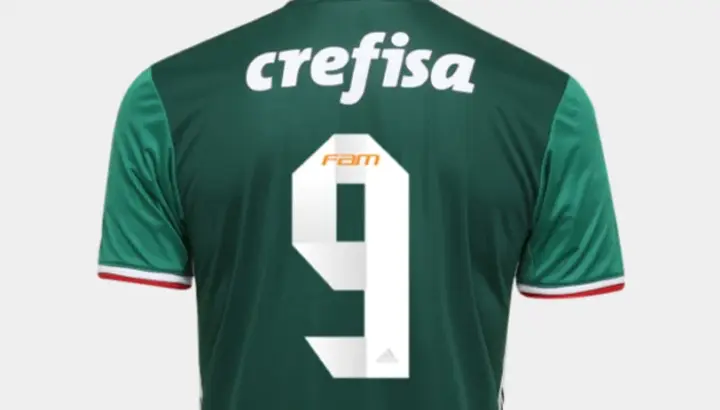 Camisa 9 Palmeiras 1