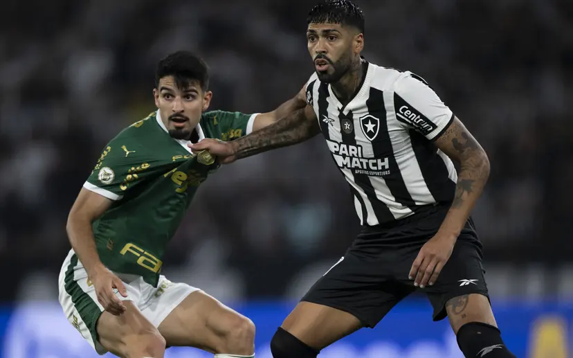 palmeiras x botafogo