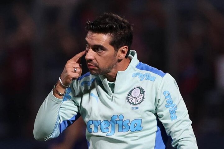 Cesar Greco/Palmeiras