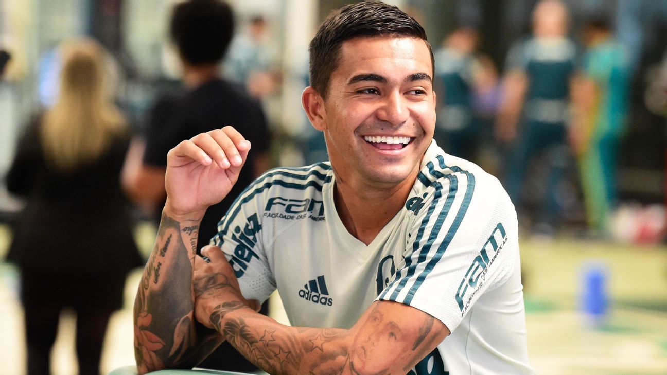 Cesar Greco/Palmeiras