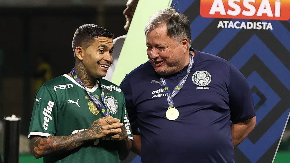 Cesar Greco/Palmeiras