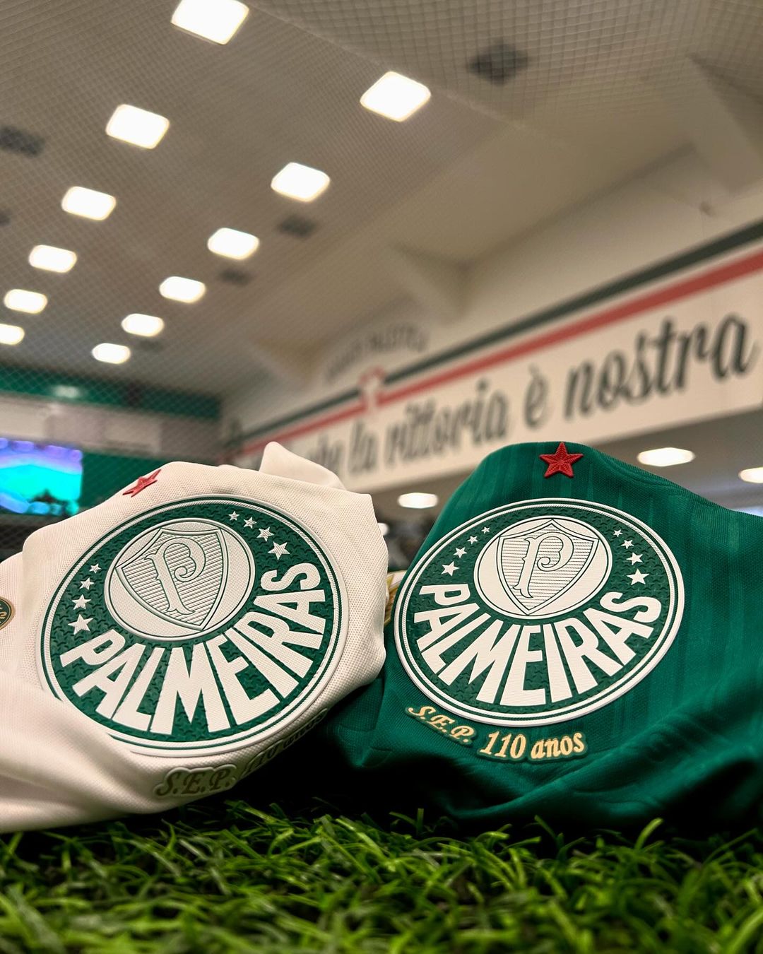 Ídolo do Palmeiras aceita atuar em dois times de uma vez este ano 4 Ídolo do Palmeiras aceita atuar em dois times de uma vez este ano