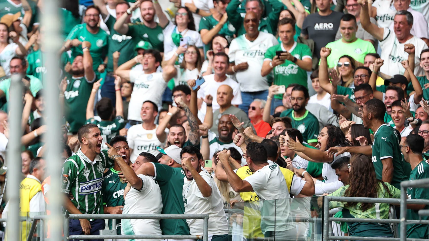 CESAR GRECO/Palmeiras