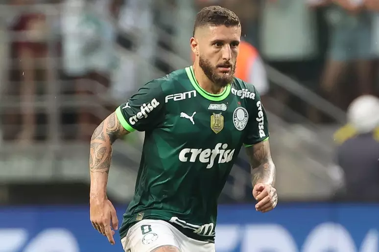 Cesar Greco/Palmeiras